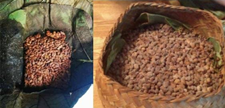 Hawaijar: Unearthing the Magic of Manipur's Fermented Soybean